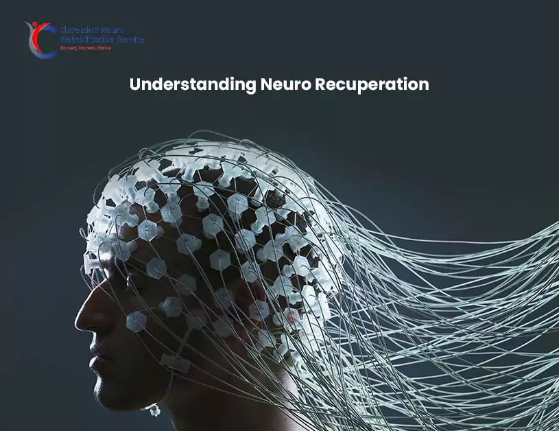 Understanding Neuro Recuperation
